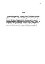 Referāts 'Ražošanas procesa organizācija', 2.