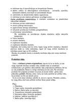 Referāts 'Ražošanas procesa organizācija', 10.