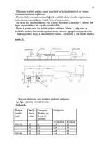 Referāts 'Ražošanas procesa organizācija', 12.