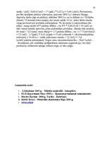 Referāts 'Ražošanas procesa organizācija', 30.