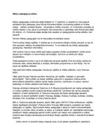 Konspekts 'Mēdiju pedagoģija', 1.