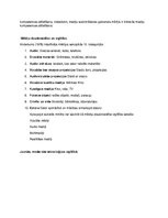 Konspekts 'Mēdiju pedagoģija', 3.