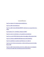 Eseja 'Nevalstisko aktieru ietekme mūsdienu pasaulē', 6.