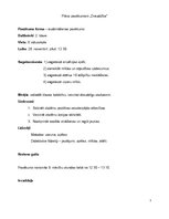 Konspekts 'Audzināšanas pasākums "Draudzība"', 1.