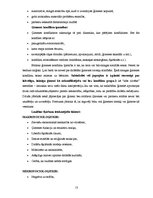 Referāts 'Ģimene. Sociālās problēmas', 13.