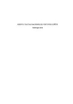 Referāts 'Krievu tautas nacionālās virtuves izpēte', 1.