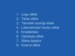 Prezentācija 'Stikls', 14.