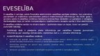 Prezentācija 'Nozīmīgākie Latvijā realizētie informācijas sabiedrības attīstību veicinošie pro', 6.