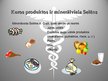 Prezentācija 'E vitamīns un minerālviela selēns', 7.