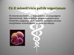 Prezentācija 'E vitamīns un minerālviela selēns', 8.