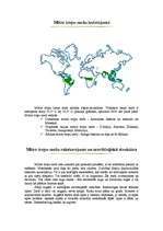 Referāts 'Mitro tropu mežu raksturojums, kartējums', 4.