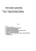 Referāts 'Pārrobežu sadarbība', 1.