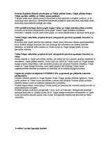 Referāts 'Pārrobežu sadarbība', 5.