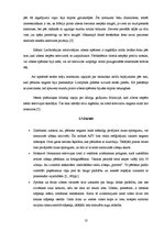 Referāts 'Dabas parādības - polārblāzma un zibens', 10.