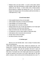 Referāts 'Dabas parādības - polārblāzma un zibens', 11.