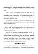 Referāts 'Senās Ēģiptes varenības simboli - piramīdas', 17.