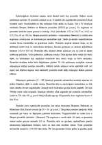 Referāts 'Senās Ēģiptes varenības simboli - piramīdas', 21.