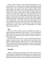 Referāts 'Bērnu uzmanība, atmiņa, sajūtas, domāšana', 3.