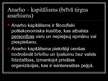 Prezentācija 'Anarhija dažādos politiskos režīmos', 7.