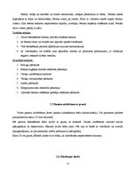 Referāts 'Būvdarbu tehnoloģija un darba drošība', 12.