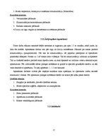 Referāts 'Būvdarbu tehnoloģija un darba drošība', 17.