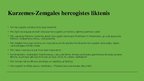 Prezentācija 'Kā Latvijas zemes ieguva Krievijas impērija', 6.