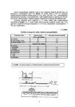 Referāts 'Transporta nozares raksturojums', 6.