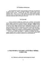 Referāts 'Transporta nozares raksturojums', 13.