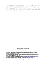 Referāts 'Transporta nozares raksturojums', 17.