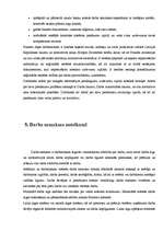 Prakses atskaite 'Prakse VID reģionālajā iestādē', 12.