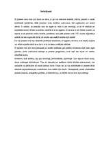 Prakses atskaite 'Prakse VID reģionālajā iestādē', 22.