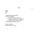 Referāts 'Uzņēmējdarbības ētika tūrisma sfērā', 2.