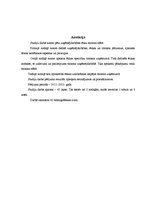 Referāts 'Uzņēmējdarbības ētika tūrisma sfērā', 3.