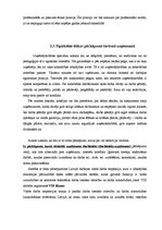 Referāts 'Uzņēmējdarbības ētika tūrisma sfērā', 25.