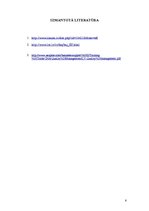 Referāts 'Standartizācija', 8.