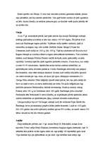 Konspekts 'Raganas viduslaiku Eiropā', 12.