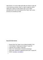 Konspekts 'Raganas viduslaiku Eiropā', 17.