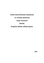 Referāts 'Pingvīnu kārtas raksturojums', 1.