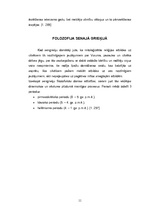 Referāts 'Antīkā kultūra', 11.