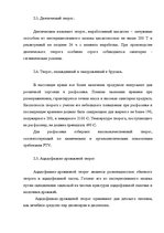 Referāts 'Проект технологической линии производства глазированных сырков', 19.