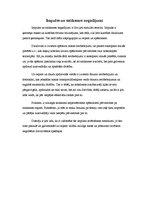 Eseja 'Impulss un satiksmes negadījumi', 1.