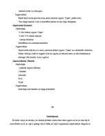 Referāts 'Jogurts', 16.