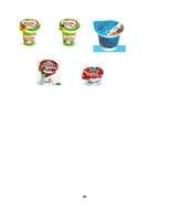 Referāts 'Jogurts', 20.