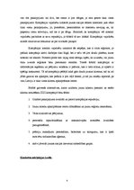 Referāts 'Mārketinga plāns uzņēmumam IZZI', 4.