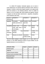 Referāts 'Mārketinga plāns uzņēmumam IZZI', 5.