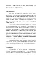 Referāts 'Mārketinga plāns uzņēmumam IZZI', 9.