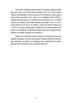 Referāts 'Mārketinga plāns uzņēmumam IZZI', 11.