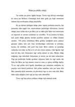 Eseja 'Stāsts par pēdējo stārķi', 1.