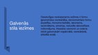 Prezentācija 'Nacionālais romantisms un celtnes pēc Otrā pasaules kara', 19.