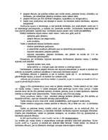 Referāts 'SIA dibināšana', 5.